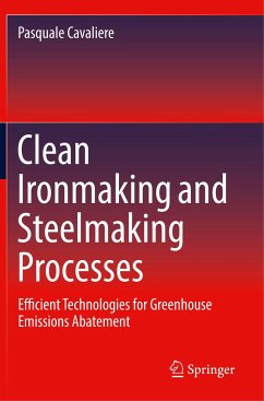 Clean Ironmaking and Steelmaking Processes - Cavaliere, Pasquale