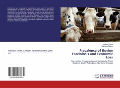 Prevalence of Bovine Fasciolosis and Economic Loss