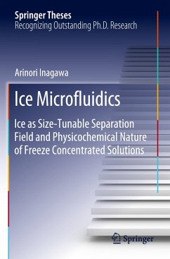 Ice Microfluidics - Inagawa, Arinori