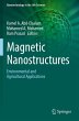 Magnetic Nanostructures - Bild 1