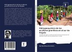 Hidrogeoquímica de los acuíferos graníticos en el sur de Angola