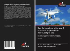 Uso dei droni per ottenere il fattore di impilamento dell'eucalipto spp - Vinicius Gouvêa Quintas Filho, Marcus;Kussler de Souza, Guilherme