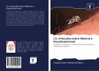 Co-Infecções sobre Malária e Esquistossomose