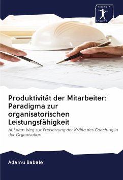 Produktivität der Mitarbeiter: Paradigma zur organisatorischen Leistungsfähigkeit - Babale, Adamu