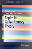 Topics in Gallai-Ramsey Theory (eBook, PDF)