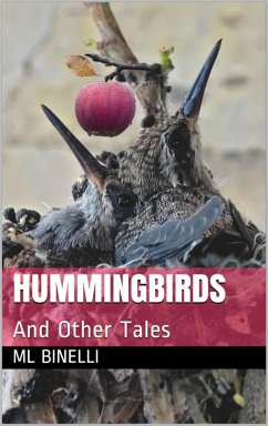 Cover Hummingbirds And Other Tales (eBook, ePUB)
