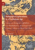 Pedagogical Explorations in a Posthuman Age (eBook, PDF)