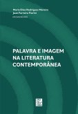 Palavra e imagem na literatura contemporânea (eBook, ePUB)