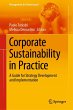 Corporate Sustainability in Practice - Bild 1
