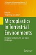 Microplastics in Terrestrial... - Bild 1