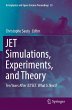 JET Simulations, Experiments, and Theory - Bild 1