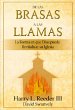 De las brasas a las llamas (eBook, ePUB) - Bild 1