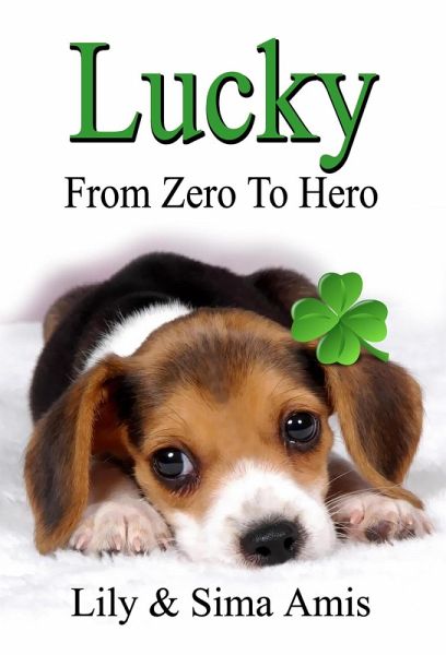 Lucky - From Zero to Hero (eBook, ePUB)