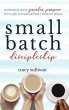 Small Batch Discipleship (eBook, ePUB) - Bild 1