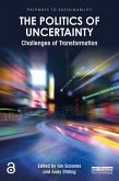 The Politics of Uncertainty (eBook, PDF)