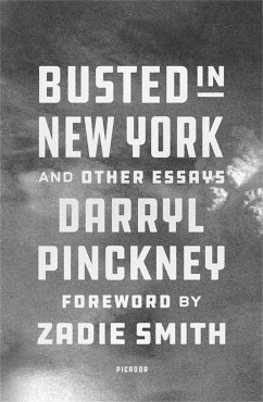 Cover Busted in New York & Other Essays (eBook, ePUB)