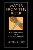 Water from the Rock (eBook, ePUB)
