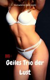 Geiles Trio der Lust (eBook, ePUB)
