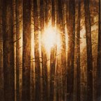 Echoes (Lim.3lp-Box Black Vinyl)