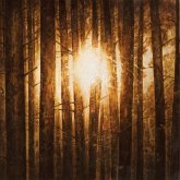 Echoes (Lim.3lp-Box Black Vinyl) Echoes (Lim.3lp-Box Black Vinyl)