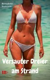 Versauter Dreier am Strand (eBook, ePUB)