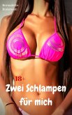 Zwei Schlampen für mich (eBook, ePUB)