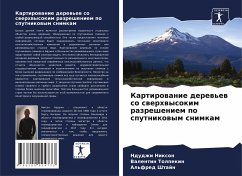 Kartirowanie derew'ew so swerhwysokim razresheniem po sputnikowym snimkam - Nixon, Ndudzhi;Tolpekin, Valentin;Shtajn, Al'fred