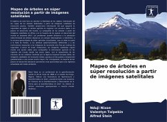 Mapeo de árboles en súper resolución a partir de imágenes satelitales - Nixon, Nduji;Tolpekin, Valentyn;Stein, Alfred