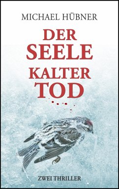 Der Seele kalter Tod (eBook, ePUB) - Hübner, Michael