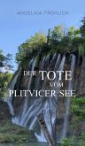 Der Tote vom Plitvicer See (eBook, ePUB)