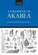 A Grammar of Akabea (eBook, PDF) - Bild 1
