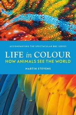 Life in Colour (eBook, ePUB) - Stevens, Martin