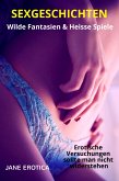 SEX GESCHICHTEN - Heisse Spiele & Wilde Fantasien - Erotische Versuchungen sollte man nicht widerstehen (eBook, ePUB)