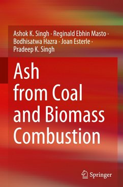 Ash from Coal and Biomass Combustion - Singh, Ashok K.;Masto, Reginald Ebhin;Hazra, Bodhisatwa