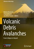 Volcanic Debris Avalanches