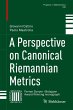 A Perspective on Canonical Riemannian... - Bild 1