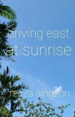 Driving East at Sunrise (eBook, ePUB)