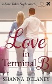 Love in Terminal B (Love Takes Flight) (eBook, ePUB)