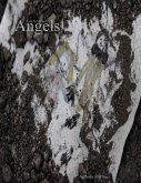 Lost In Memory: Angels (Lost In Memory: Roots) (eBook, ePUB)