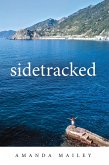 sidetracked (eBook, ePUB)