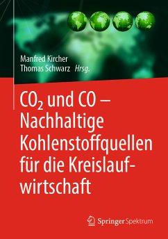 CO2 und CO – Nachhaltige Kohlenstoffquellen für die Kreislaufwirtschaft (eBook, PDF)