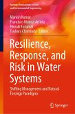Resilience, Response, and Risk in Water Systems (eBook, PDF)