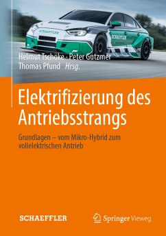 Elektrifizierung des Antriebsstrangs (eBook, PDF)