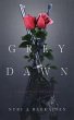 Grey Dawn (eBook, ePUB) - Bild 1