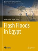 Flash Floods in Egypt (eBook, PDF)