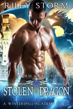 Cover Stolen by the Dragon (Storm Dragons, #1) (eBook, ePUB)