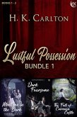 Lustful Possession Bundle 1 (eBook, ePUB) Lustful Possession Bundle 1 (eBook, ePUB)