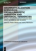 Grammaticalization Scenarios from Africa, the Americas, and the Pacific / Grammaticalization Scenarios Volume 2