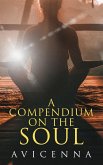 A Compendium on the Soul (eBook, ePUB)