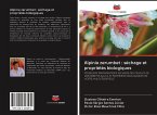 Alpinia zerumbet : séchage et propriétés biologiques